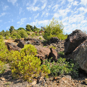 Miniera di Punta Calamita