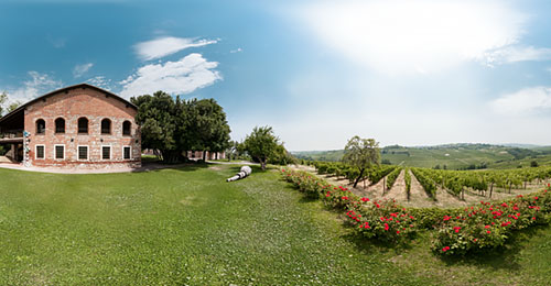 Vigneti di Torre Fornello