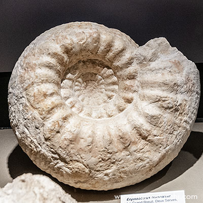 Museo Geologico di Castell'Arquato